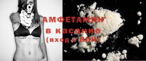 индика Сосновка