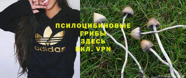ALPHA-PVP Медногорск