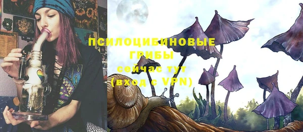 скорость Мегион