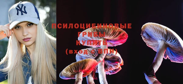 ALPHA-PVP Медногорск