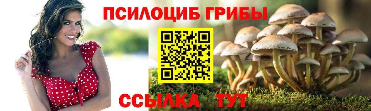 Галлюциногенные грибы прущие грибы  Усть-Илимск 